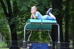 park._lll_118